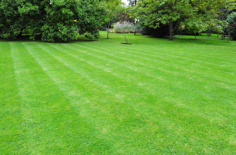 Top 10 Best Places to Buy Land in Kenya KenyaInvest